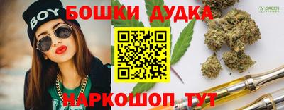 гидра Заводоуковск