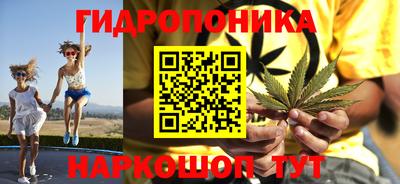 гидра Заводоуковск