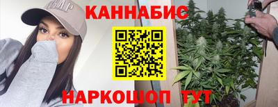 гидра Заводоуковск