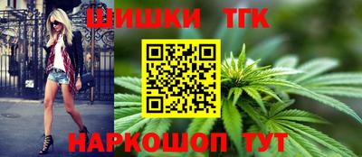 гидра Заводоуковск