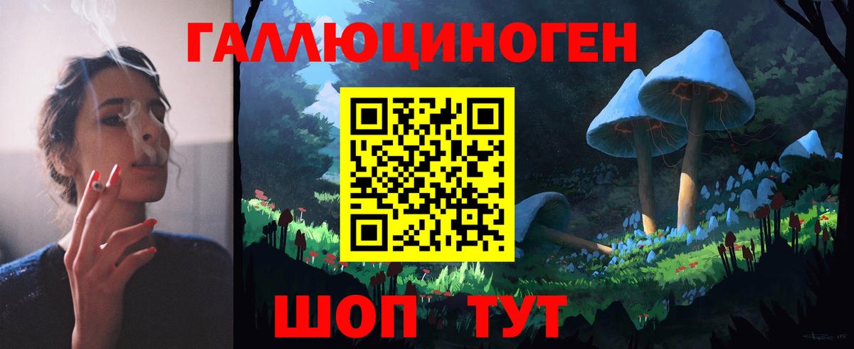 хочу наркоту  Вход с VPN  Лабинск  Псилоцибиновые грибы GOLDEN TEACHER 